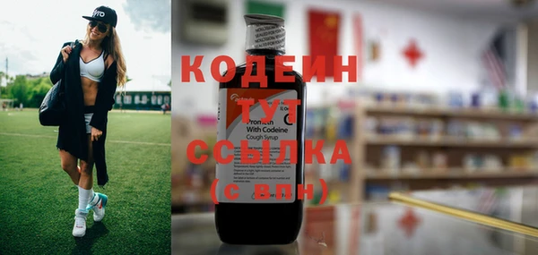 дурь Алексин
