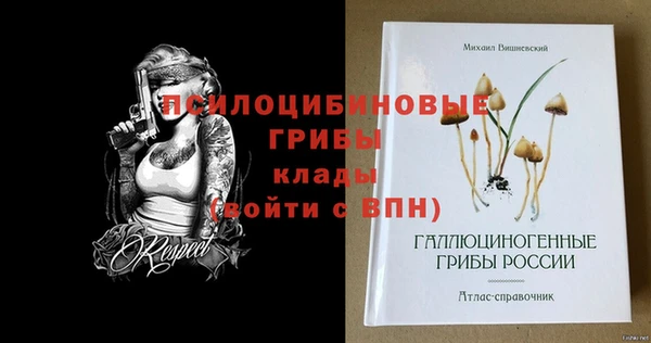 дурь Алексин
