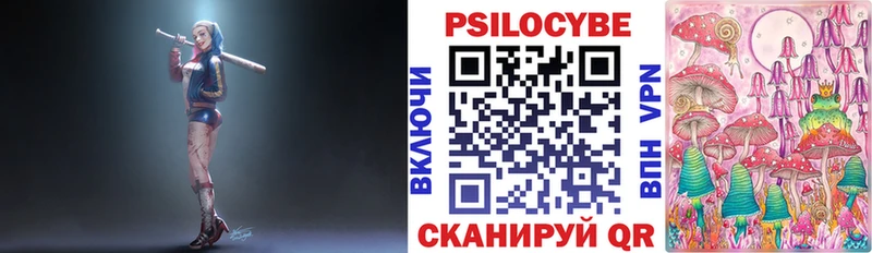 Псилоцибиновые грибы GOLDEN TEACHER  купить наркотики цена  Дзержинский 