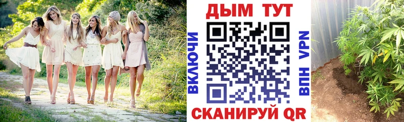 Каннабис марихуана  закладка  Дзержинский 